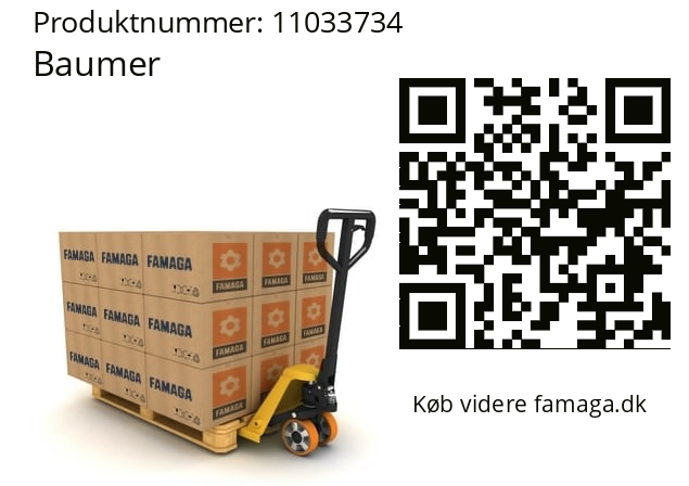  T 130.R10B Baumer 11033734