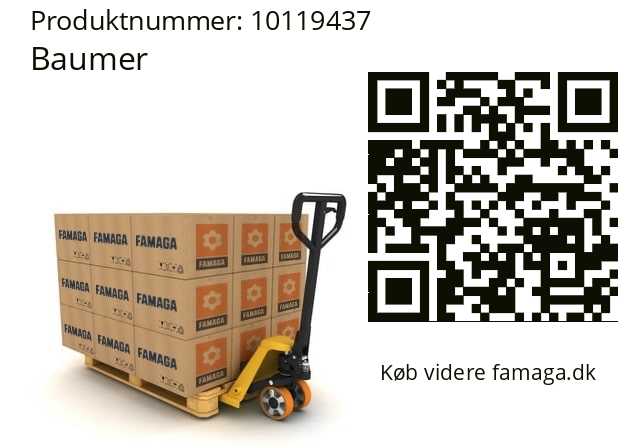   Baumer 10119437