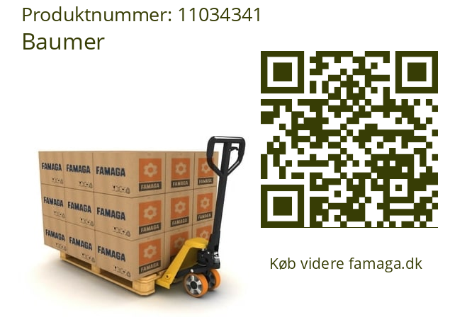  Z 180.005 Baumer 11034341