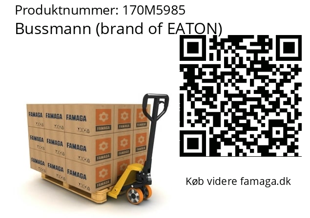   Bussmann (brand of EATON) 170M5985