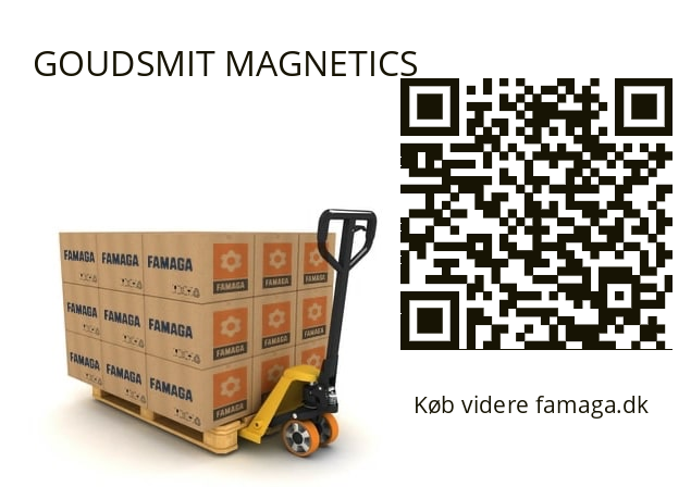  TPMV100028 GOUDSMIT MAGNETICS 