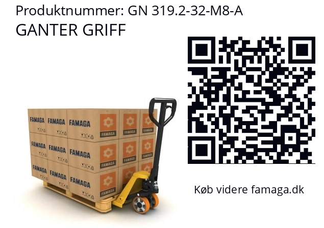   GANTER GRIFF GN 319.2-32-M8-A