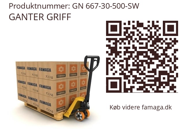   GANTER GRIFF GN 667-30-500-SW