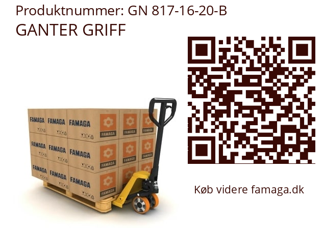   GANTER GRIFF GN 817-16-20-B