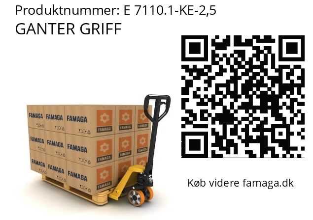   GANTER GRIFF E 7110.1-KE-2,5