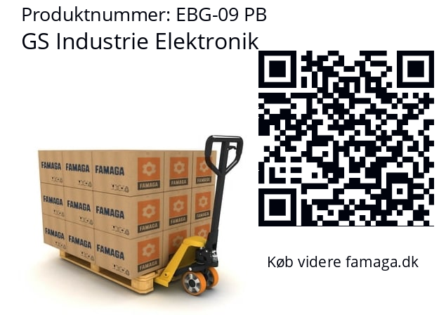   GS Industrie Elektronik EBG-09 PB