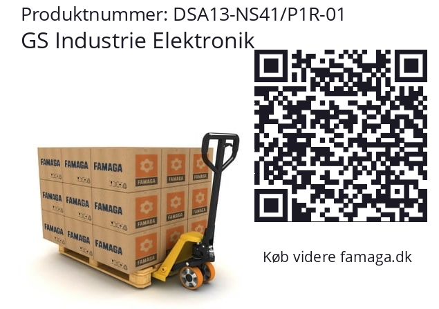   GS Industrie Elektronik DSA13-NS41/P1R-01