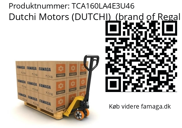   Dutchi Motors (DUTCHI)  (brand of Regal Beloit) TCA160LA4E3U46