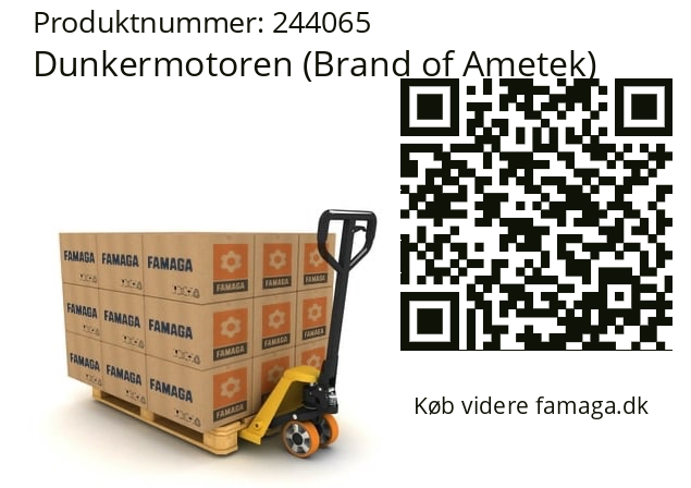   Dunkermotoren (Brand of Ametek) 244065