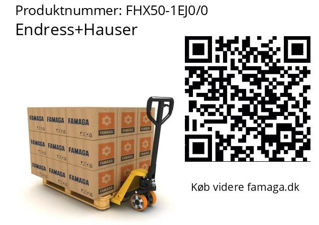   Endress+Hauser FHX50-1EJ0/0