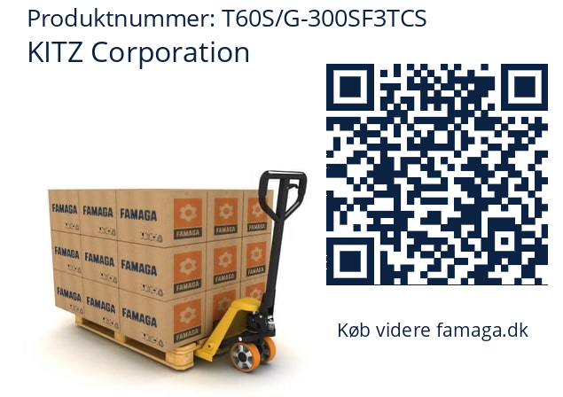   KITZ Corporation T60S/G-300SF3TCS