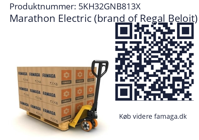   Marathon Electric (brand of Regal Beloit) 5KH32GNB813X