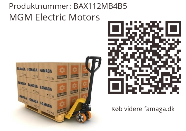   MGM Electric Motors BAX112MB4B5