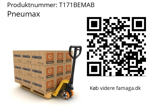   Pneumax T171BEMAB