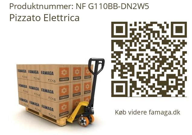   Pizzato Elettrica NF G110BB-DN2W5