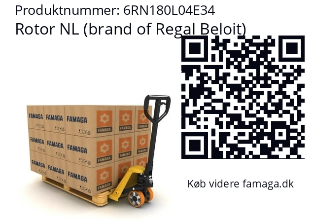   Rotor NL (brand of Regal Beloit) 6RN180L04E34